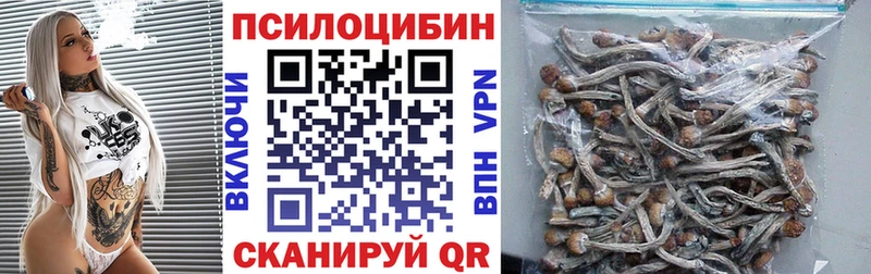 shop клад  Рассказово  Галлюциногенные грибы Cubensis 
