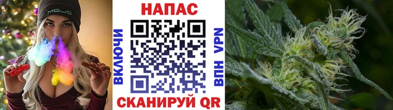 Бошки Шишки семена Рассказово